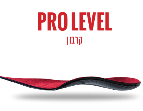 level_1 level_1